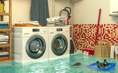 What You Need to Know About Water Damage