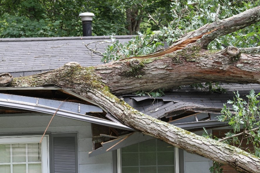 High winds and rain can cause damage to your home