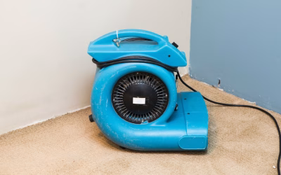 We Buy Used Restoration Equipment: How First Choice Gives Your Old Gear New Life