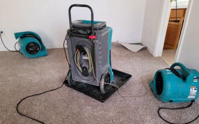 Maximizing Drying Efficiency with Proper Restoration Equipment Placement